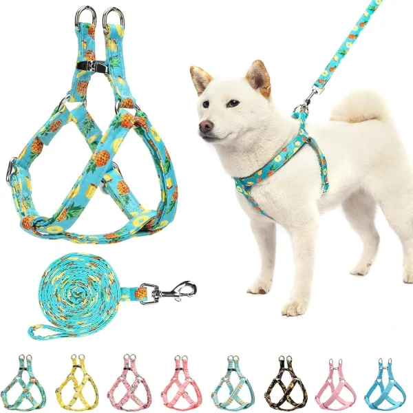 Adjustable Heavy Duty No Pull Vest Harness and Leash Set for Pets