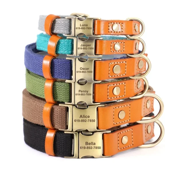 Nylon Custom Pet Collar + Leash Set - Personalized Genuine Leather with Nameplate/ID Tag