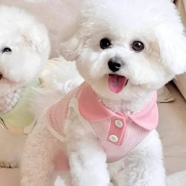 Fashion Puppy Vest,